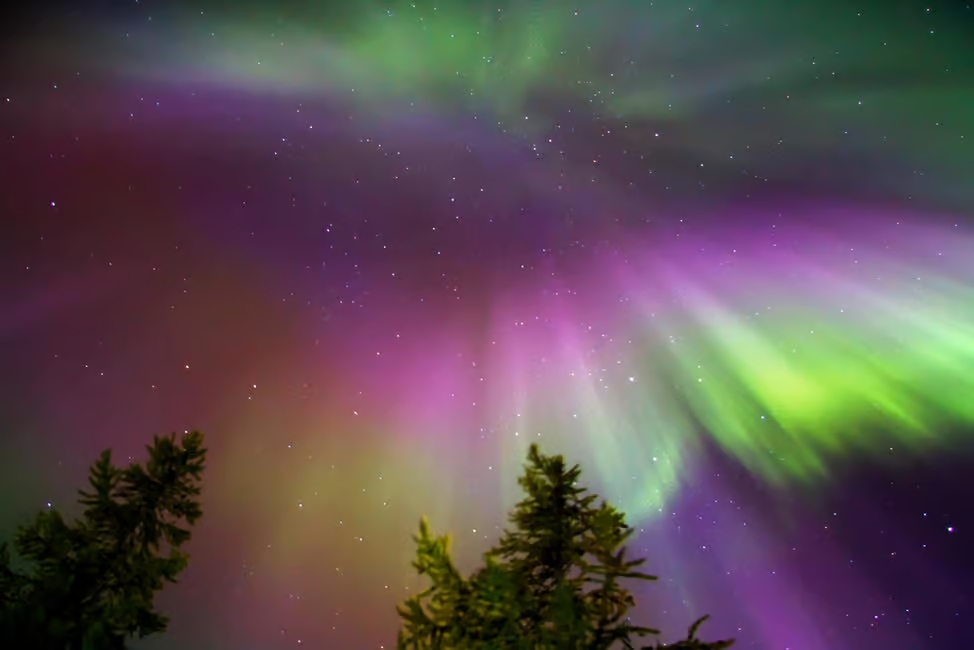 Aurora by Reindeer – Signature VIP Night Safari