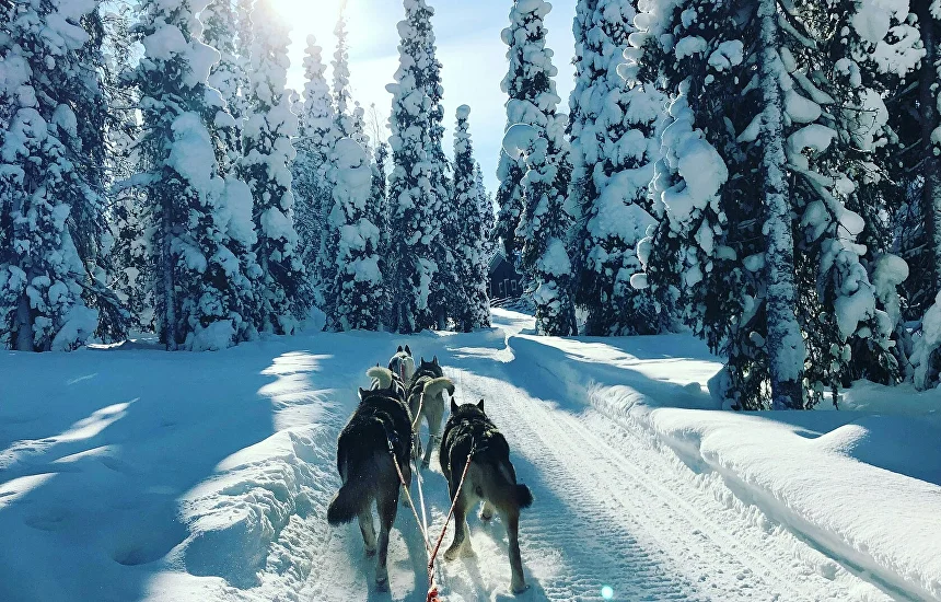 Levi Ski Retreat