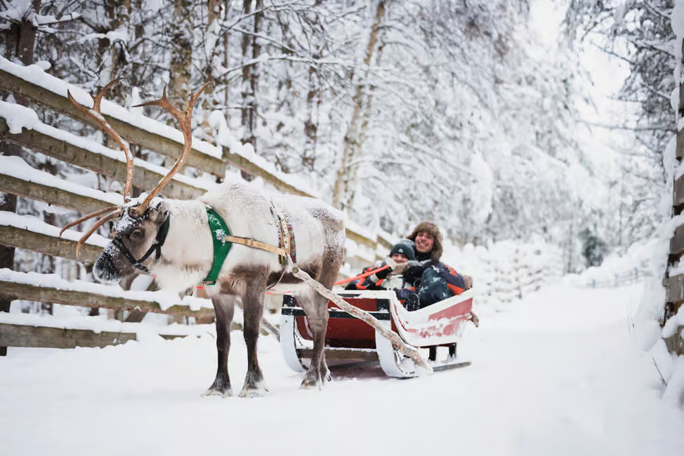 Rovaniemi: Reindeer, Huskies & Santa Claus Village